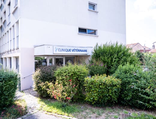 clinique vétérinaire de trion